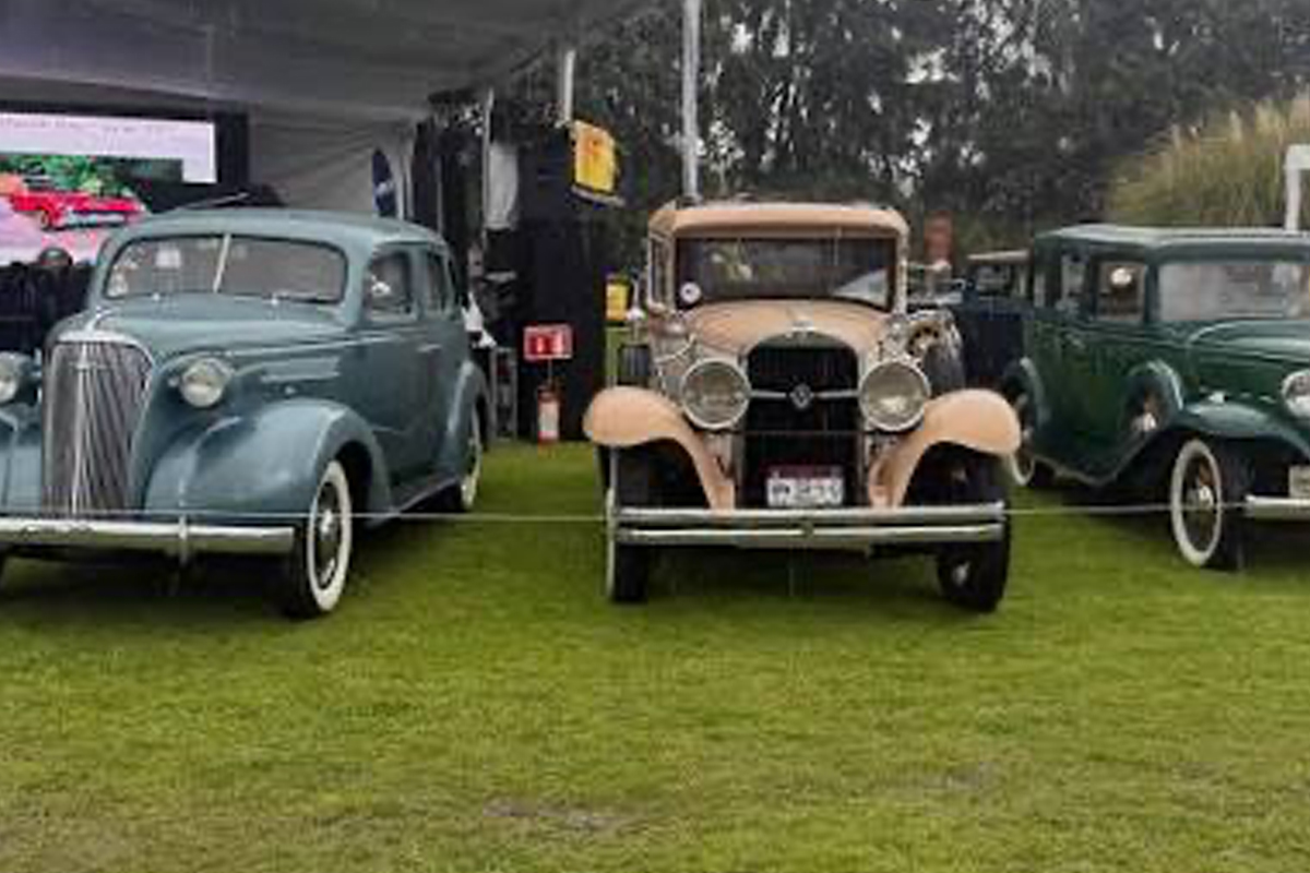 Tres autos de los años treinta exhibidos sobre pasto.